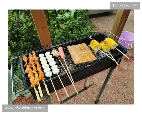 Z6凯时人生：勇敢追梦，开启属于你的无限可能人生旅程