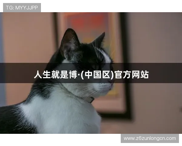 尊龙一人生就是博电子游戏：从虚拟世界中汲取人生前行的力量