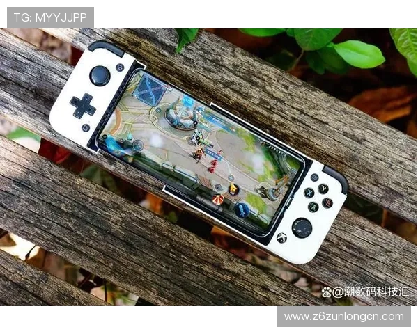 尊龙旗舰厅登录线路多渠道支持，确保玩家随时随地顺畅登录游戏