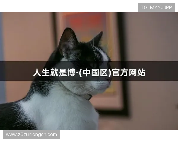 凯时人生就是博怎么样揭秘游戏安全性与玩家资金保障措施详解 凯时人生就是博怎么样揭秘游戏安全性与玩家资金保障措施详解