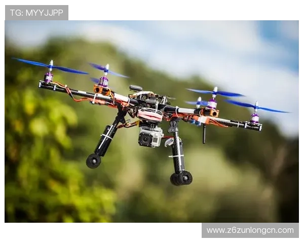 尊龙凯时官方手机版提供专业的技术支持，确保游戏运行稳定无卡顿