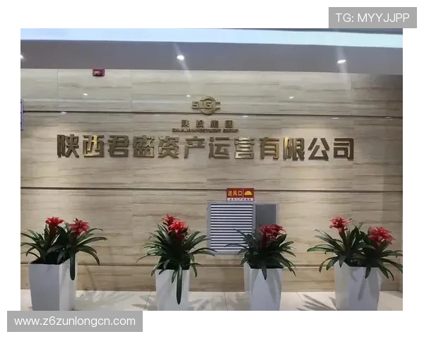 尊龙网址集团官网查询官方入口更新通知及访问安全建议